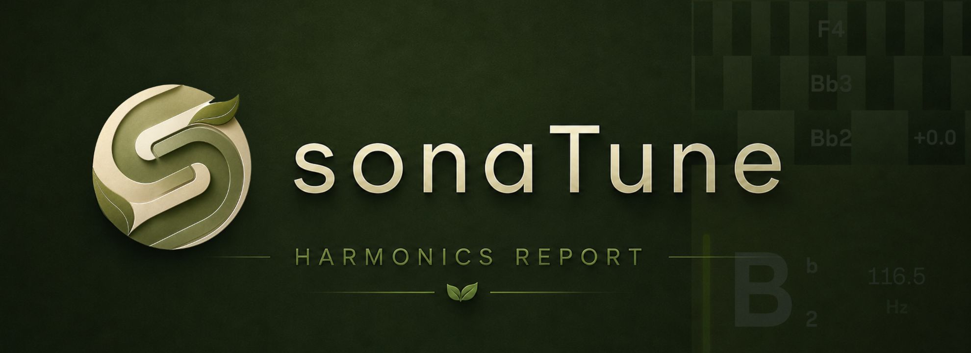 sonaTune harmonics report